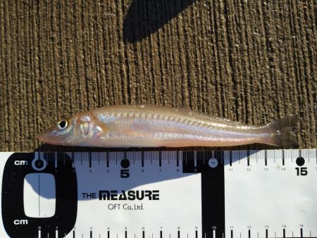 最初だけは好調